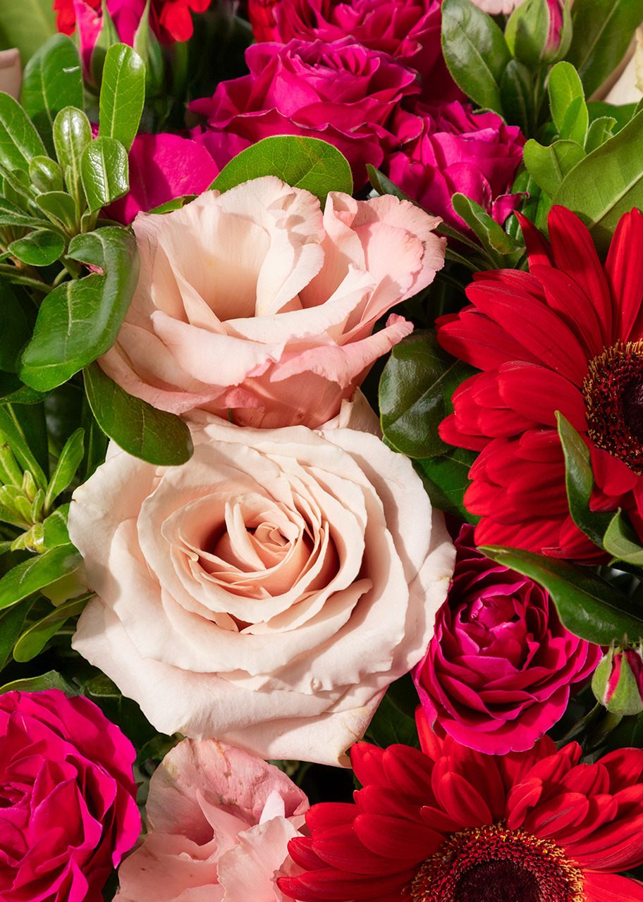 Imagen para Arreglo de Gerberas Rojas y Lisianthus con Mini Foto - 3