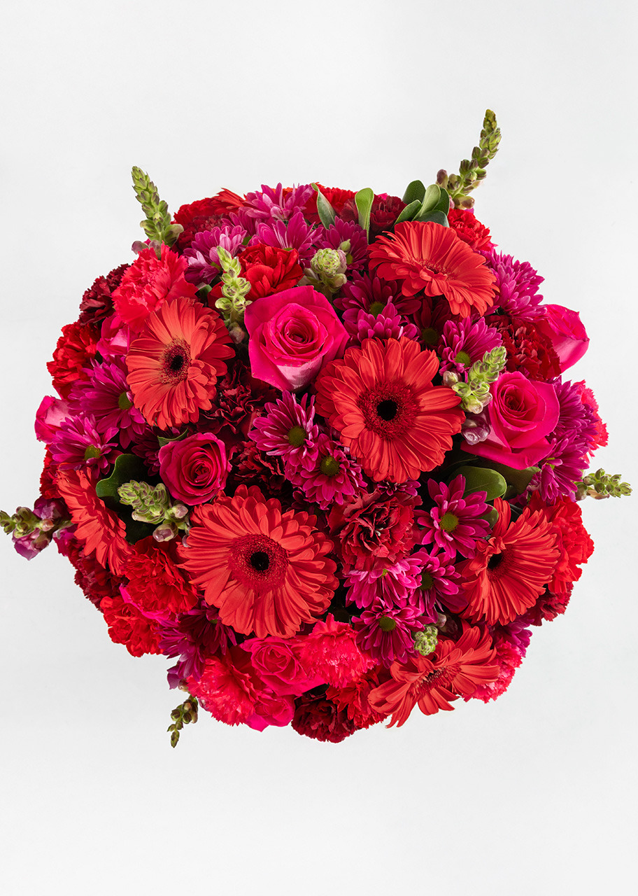 Imagen para Carmesí con Gerberas Rojas y Margaritas - 3