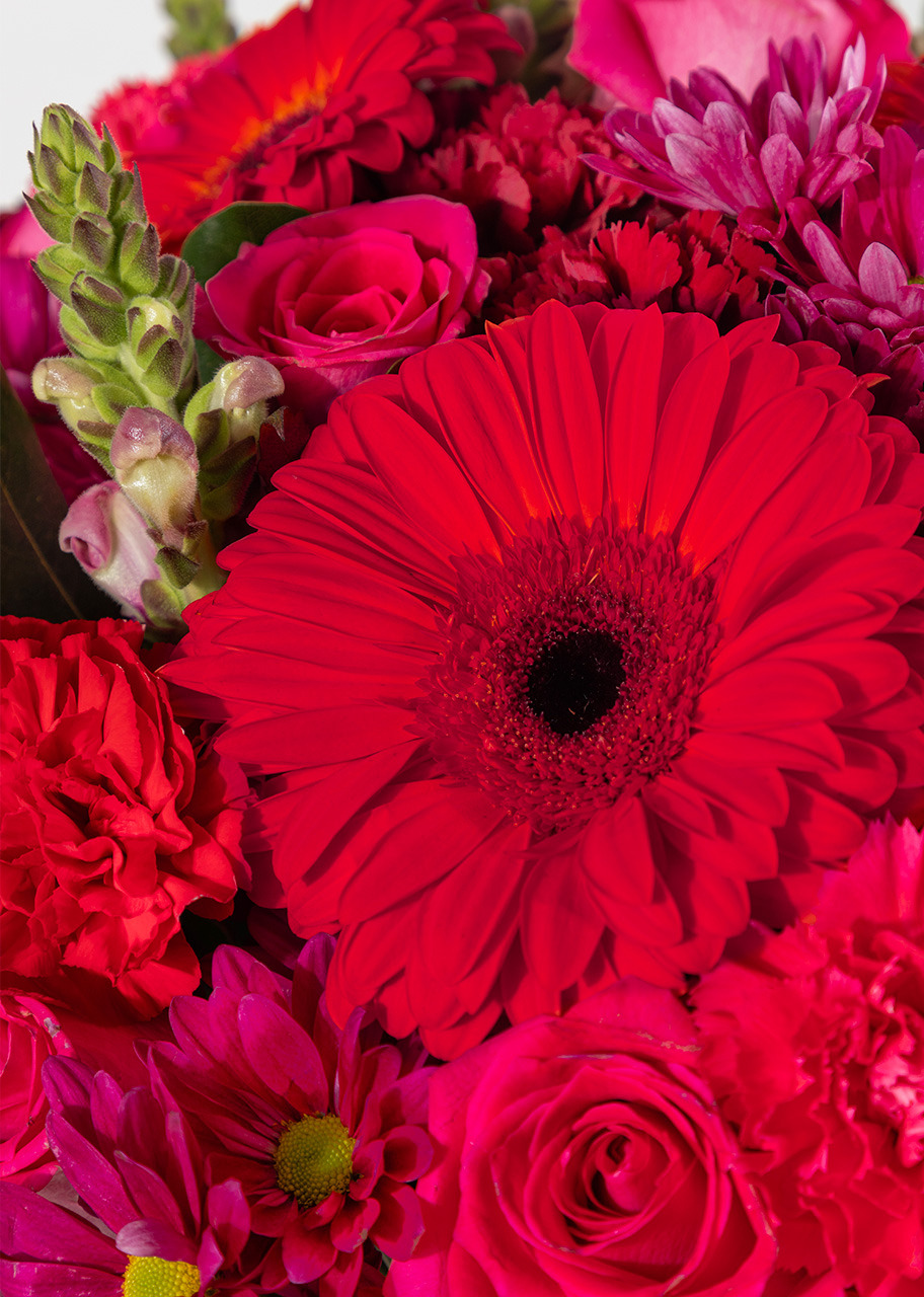 Imagen para Carmesí con Gerberas Rojas y Margaritas - 4