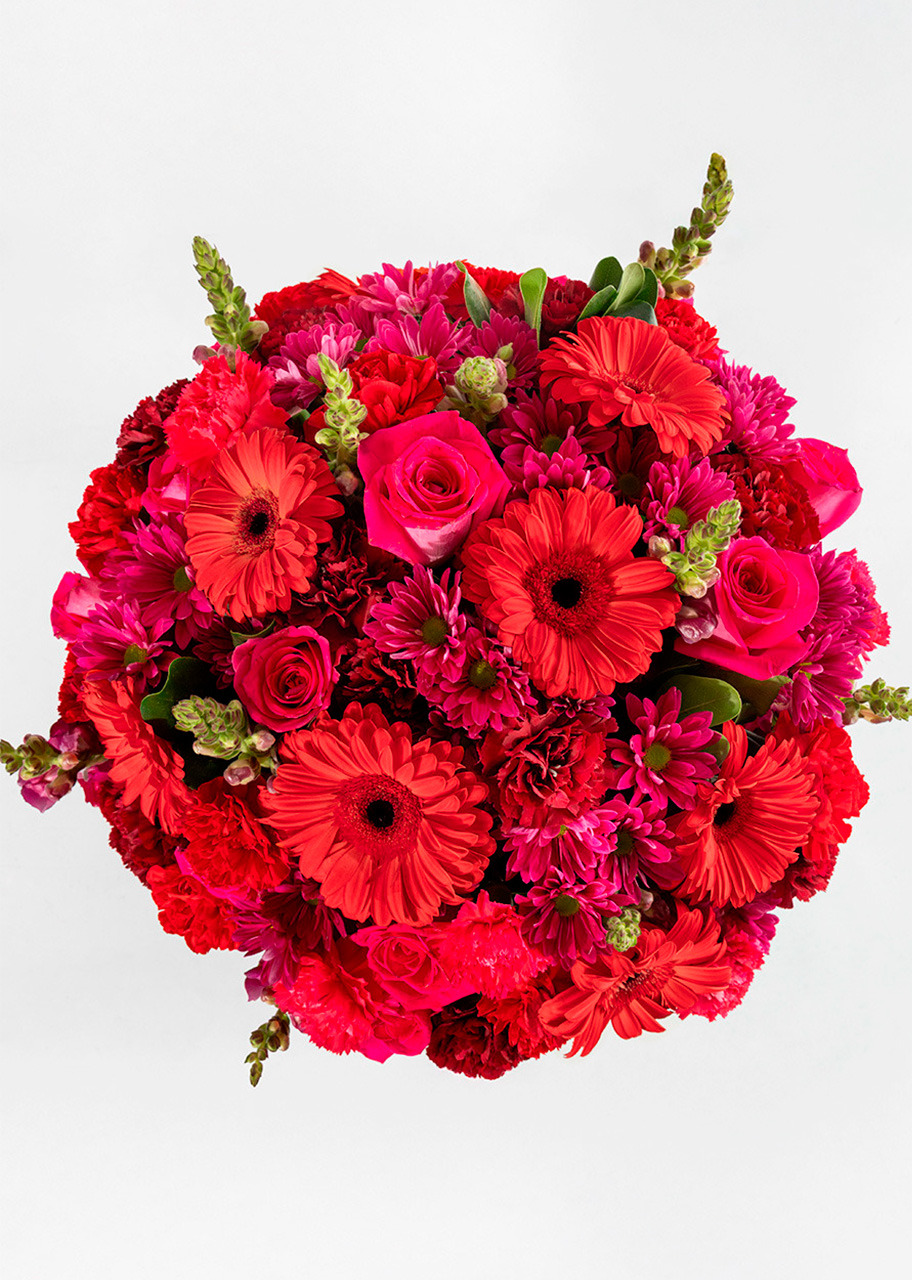 Imagen para Arreglo de Gerberas Rojas y Margaritas con Mini Foto - 3