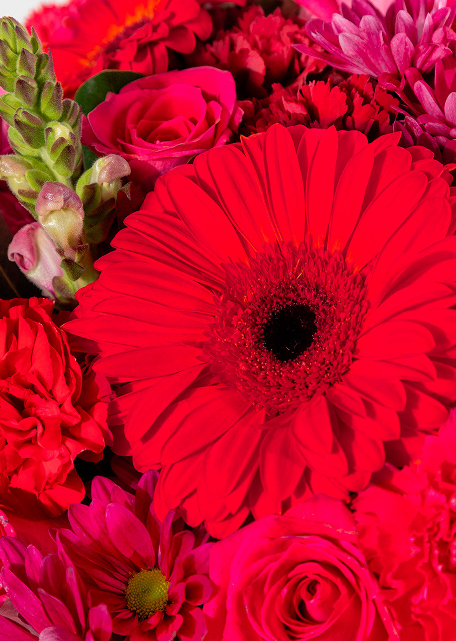 Imagen para Arreglo de Gerberas Rojas y Margaritas con Mini Foto - 4