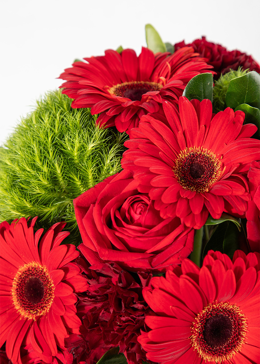 Imagen para Eclipse con Gerberas y Rosas Rojas - 4