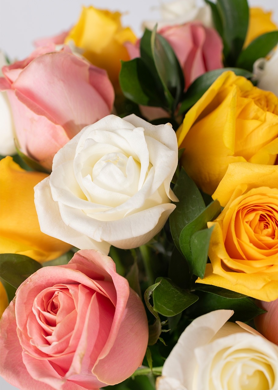 Imagen para Arreglo de 24 Rosas Combinadas - 4