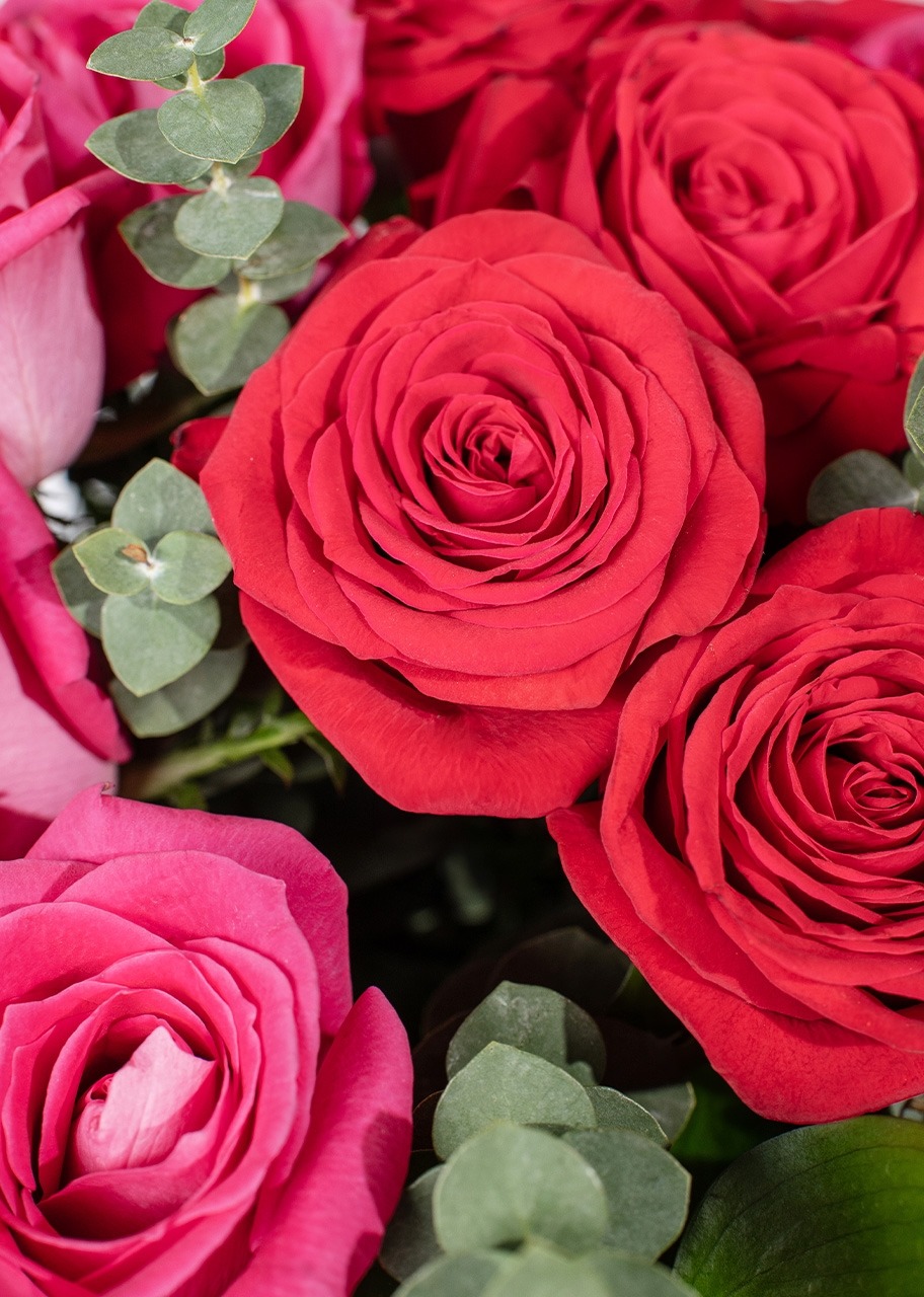 Imagen para Arreglo de Rosas Rojas y Fucsia  - 4