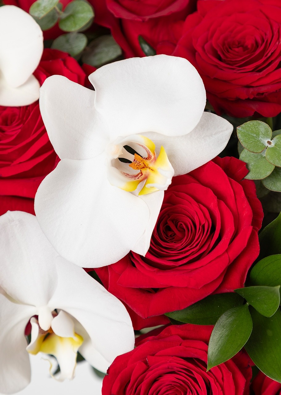 Imagen para Arreglo de Rosas Rojas y Orquídea - 4