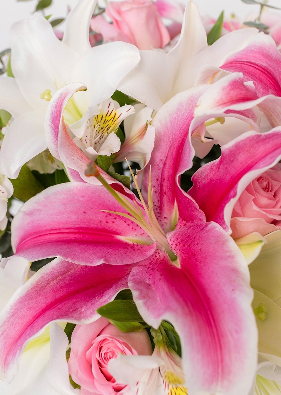 Imagen para Arreglo de Rosas y Stargazer con Mini Foto - 3