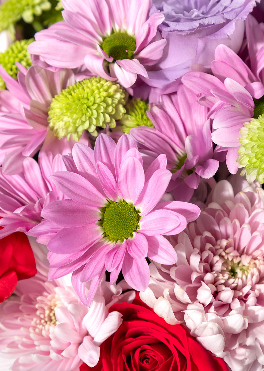 Imagen para Arreglo de Roxanas y Lisianthus Lila con Mini Foto - 4