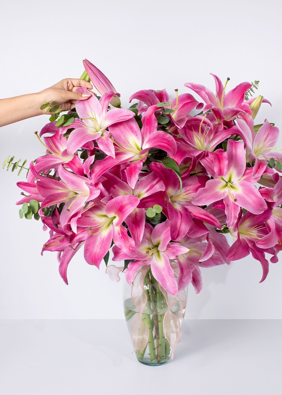 Imagen para Arreglo de Stargazer  - 2