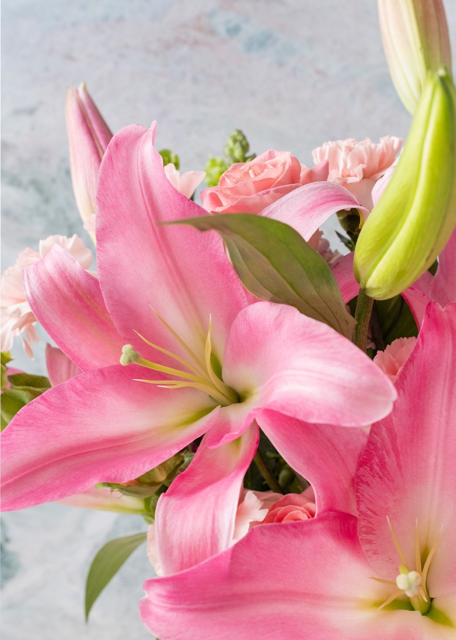 Imagen para Arreglo de Stargazers y Rosas Rosas - 4