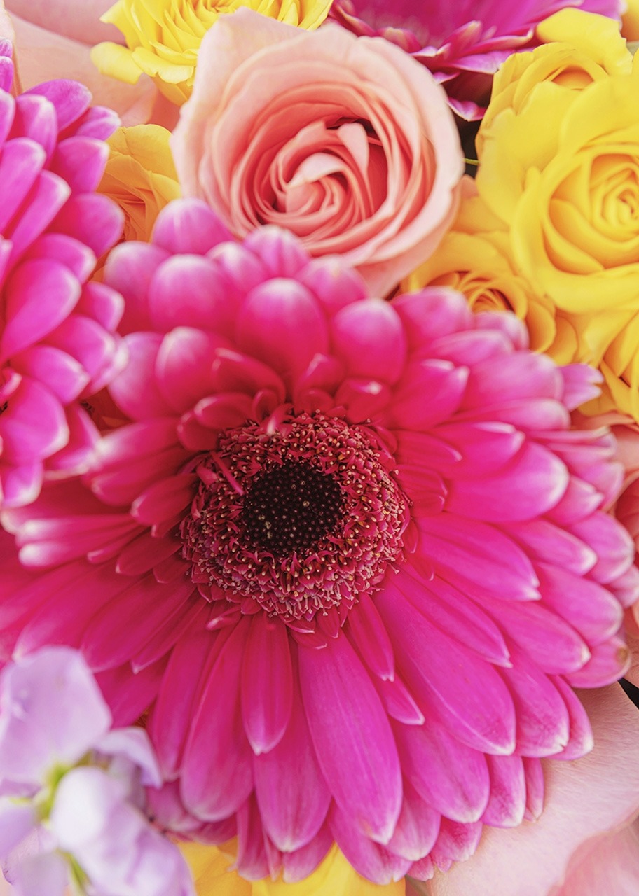 Imagen para Brownies 8pz Brownerie y Ramo de Gerberas y Alhelies - 5