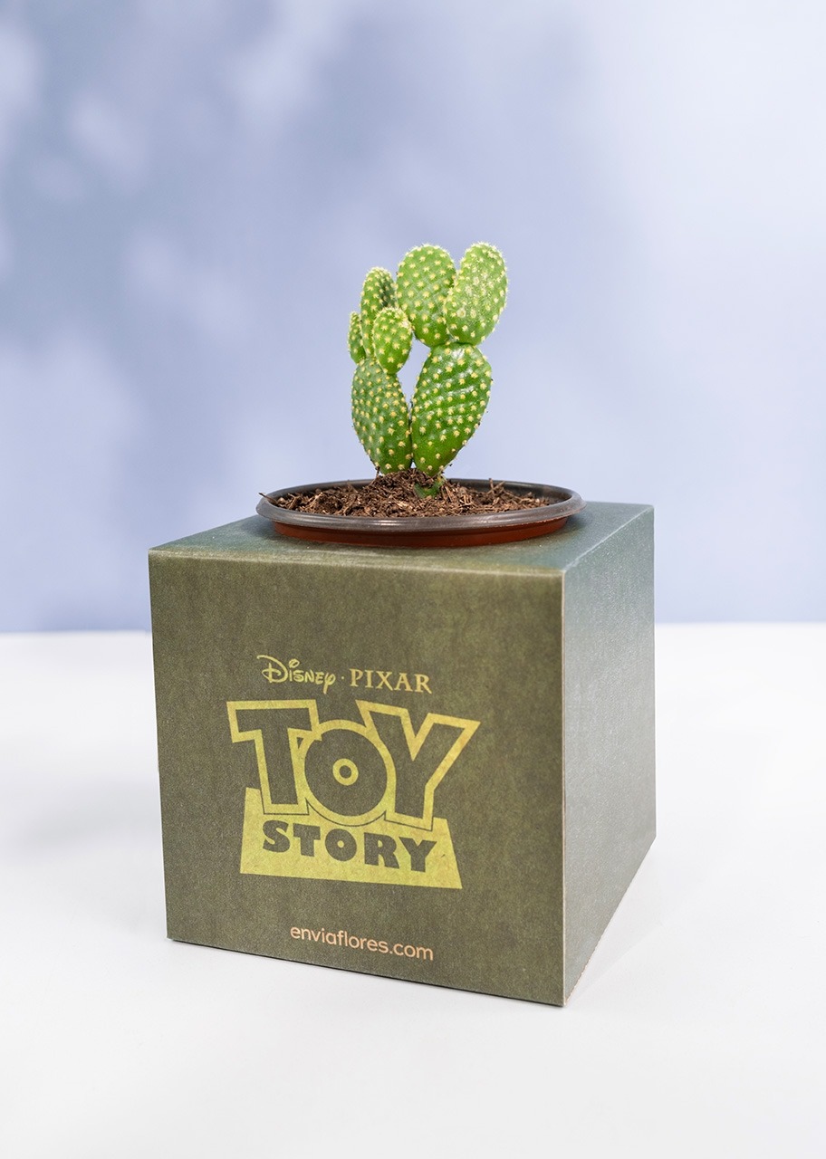 Imagen para Caja Disney Toy Story - 2