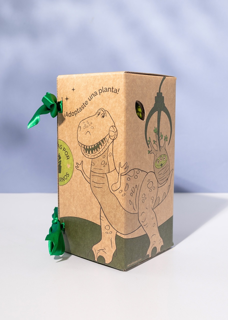 Imagen para Caja Disney Toy Story - 3