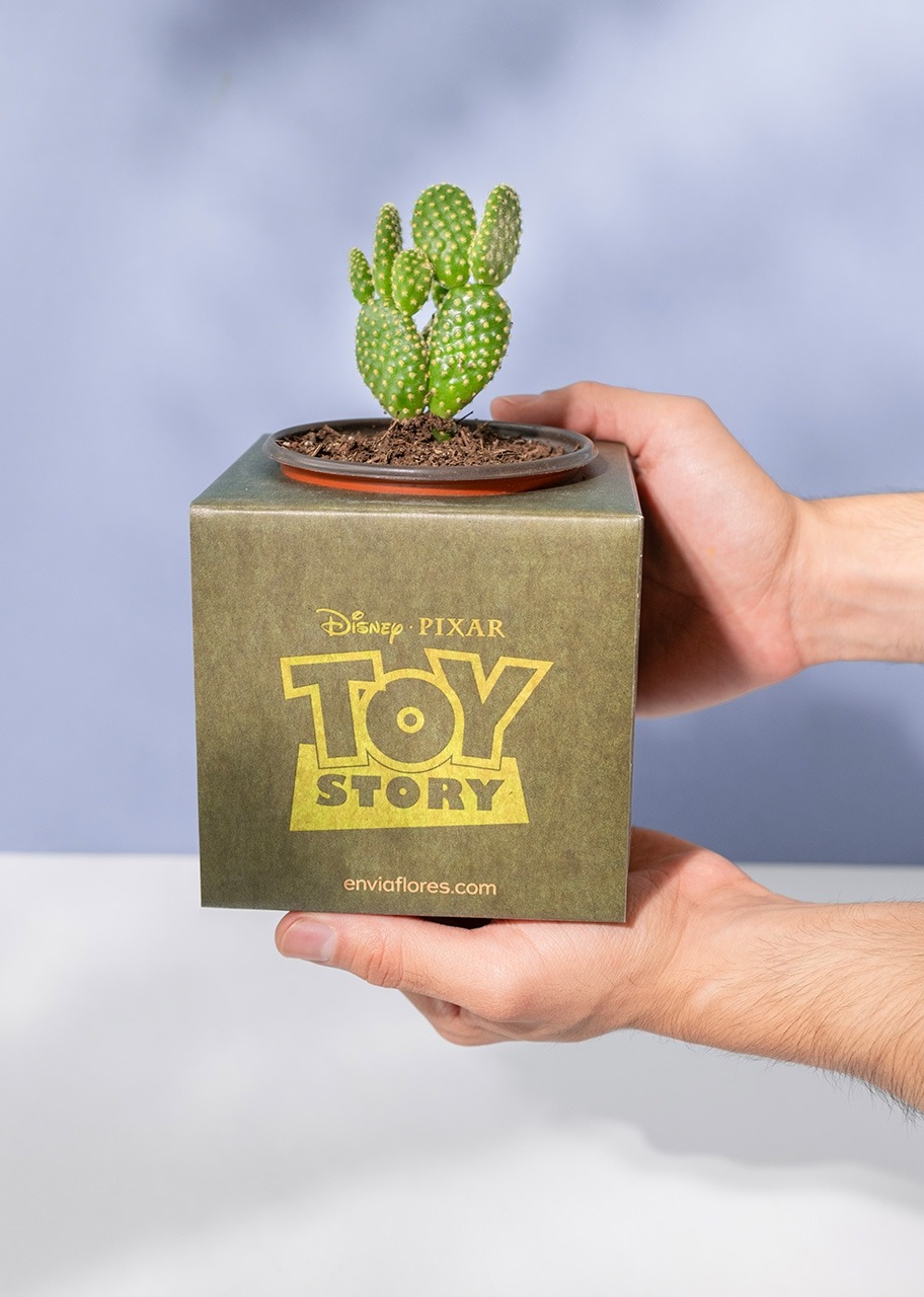 Imagen para Caja Disney Toy Story - 4