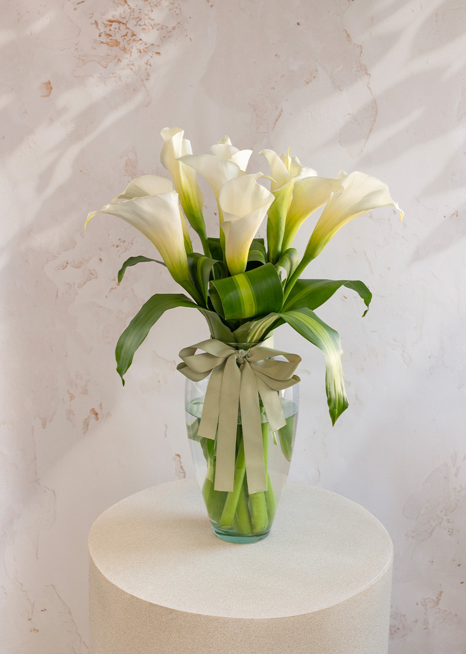 Imagen para Claridad Arreglo de 10 Alcatraces - 1