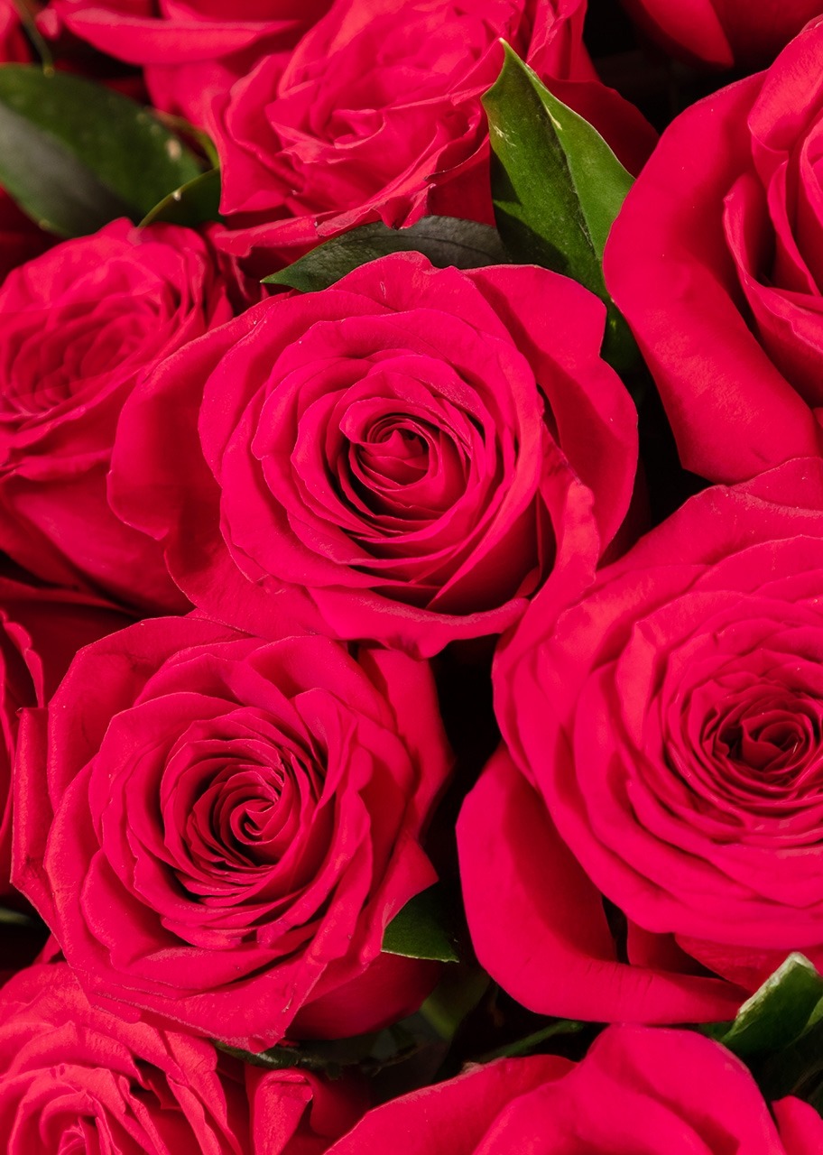 Imagen para Clásico Amor con 100 rosas rojas - 4