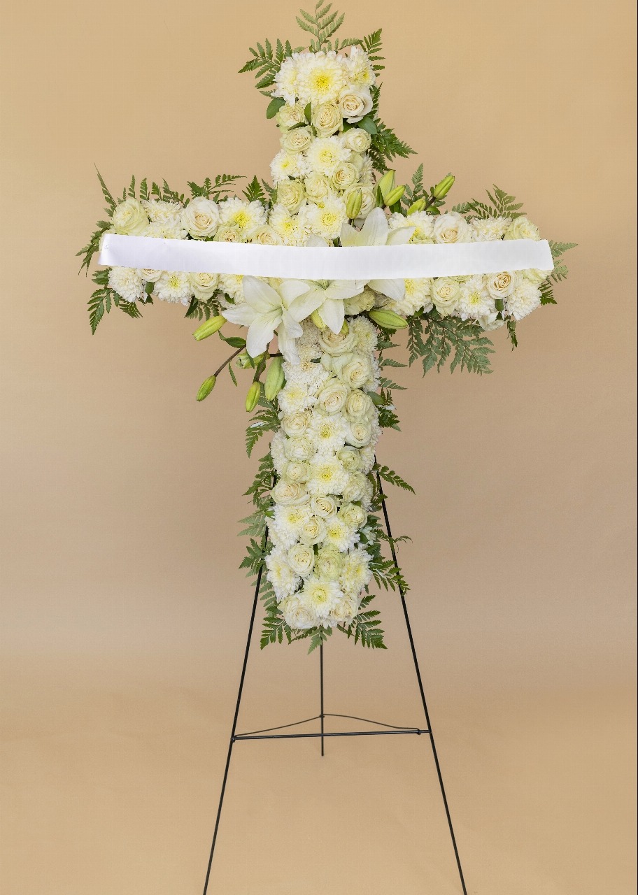 Imagen para LISTON - 10044