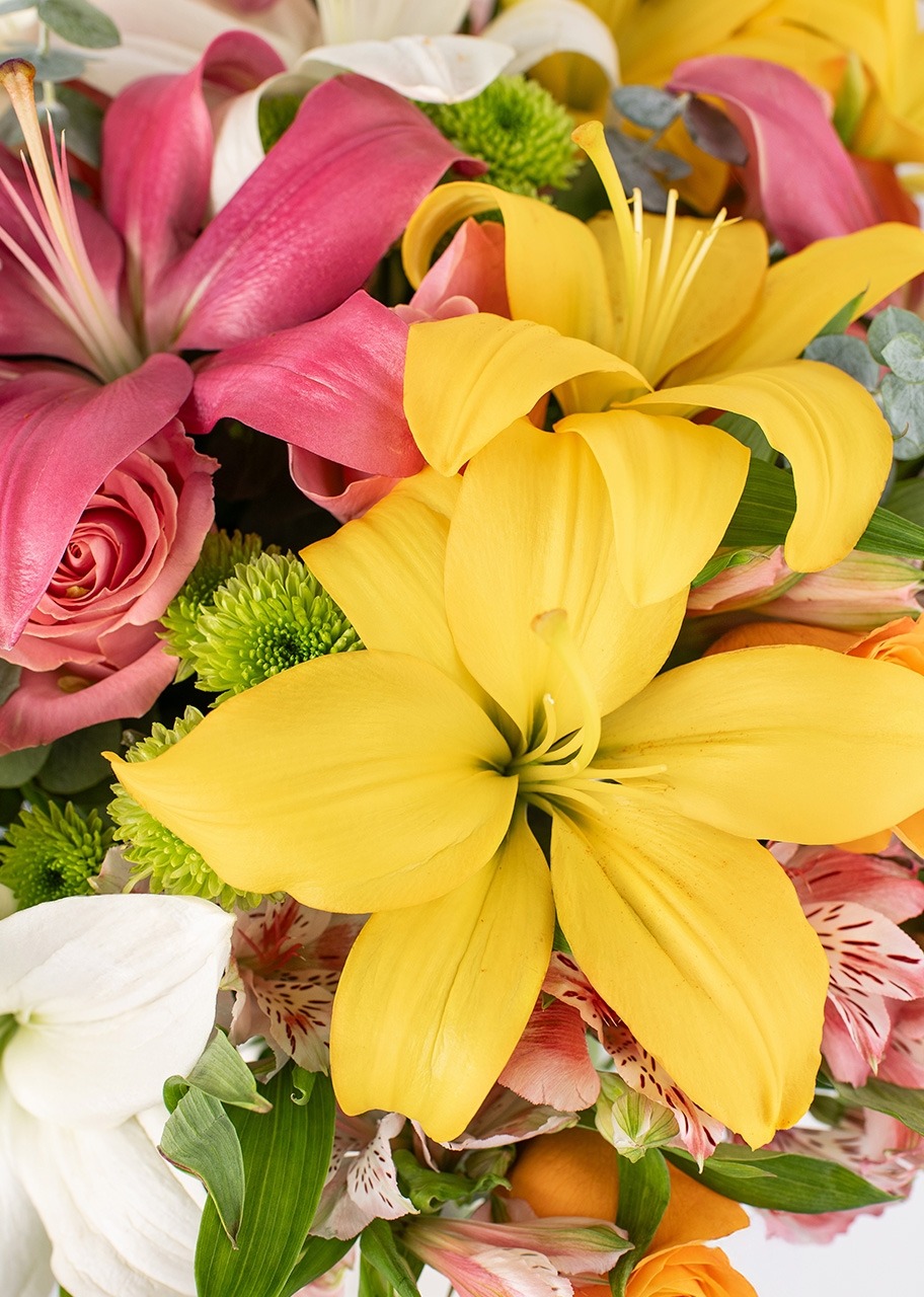 Imagen para Euforia Floral con Combinación de Lilys - 4