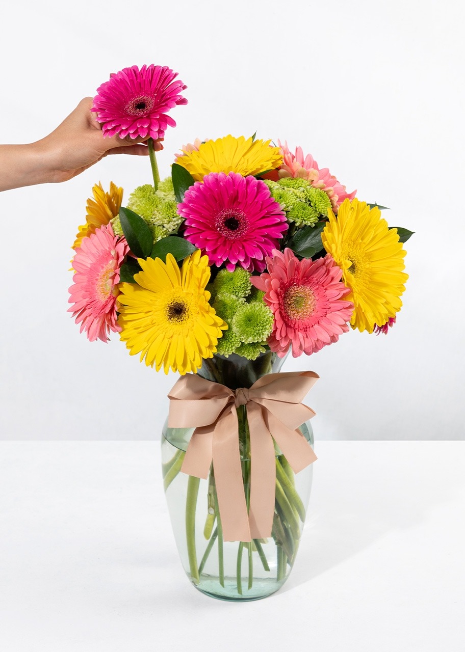 Imagen para Gerberas de Colores - 2