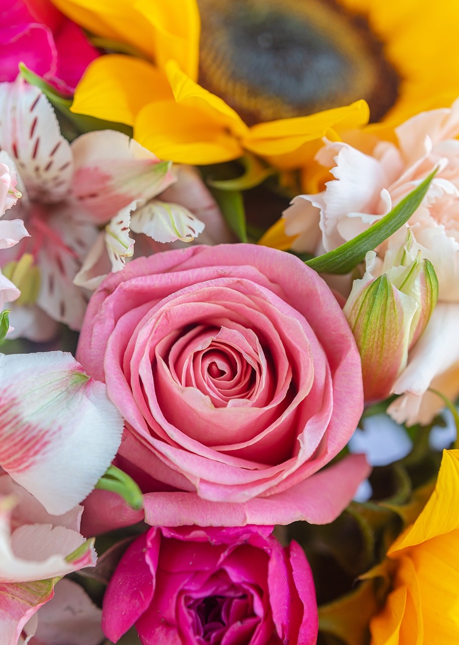 Imagen para Girasoles y mini rosa rosa en jarrón tornasol - 4