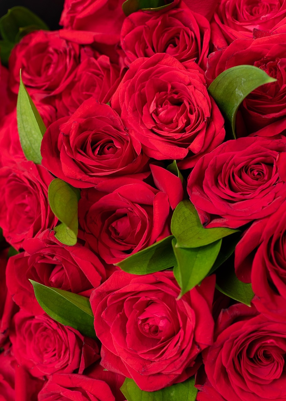 Imagen para Gran Ramo de Amor con 50 Rosas Rojas - 4