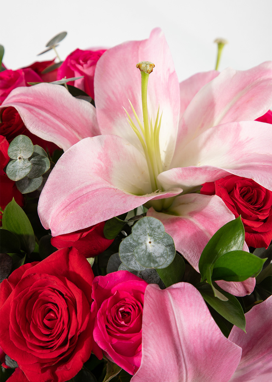 Imagen para Jarrón de Rosas Rojas y Stargazers - 4