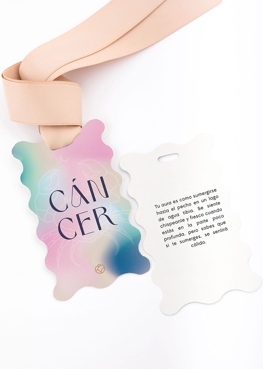 Imagen para Kit Cancer con Pastel, Flor y Vino - 5