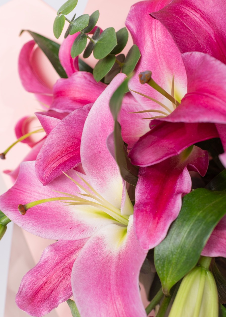 Imagen para Marco Amor con Ramo de Stargazer - 4