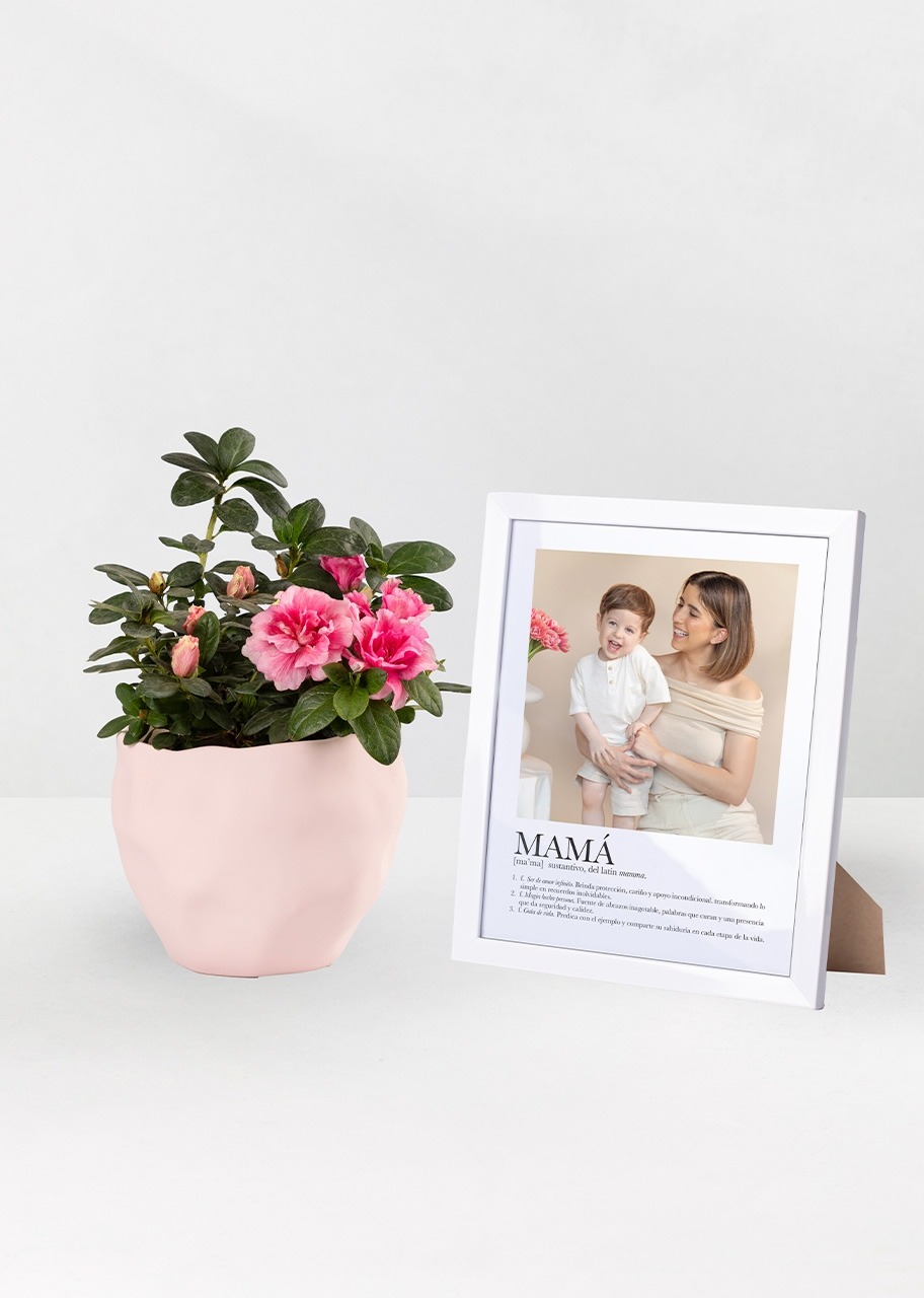 Imagen para Marco "Definición de Mamá" con planta Azalea - 1