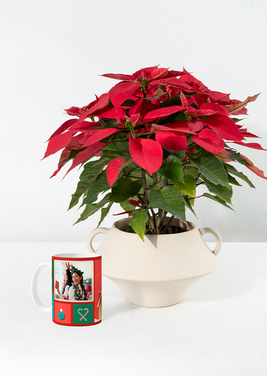 Imagen para Nochebuena con Taza Personalizada - 1