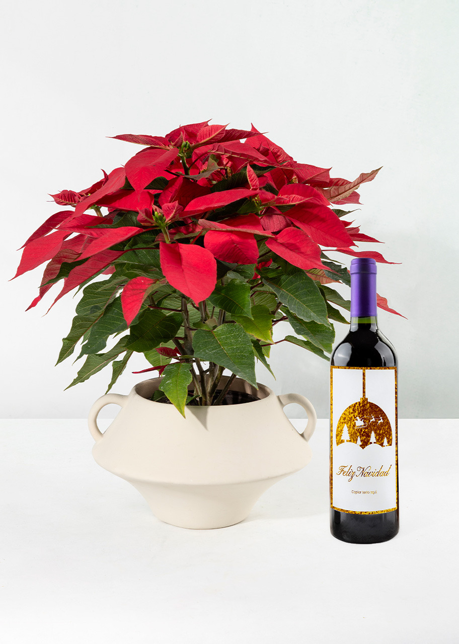 Imagen para Nochebuena con Vino Personalizado - 1