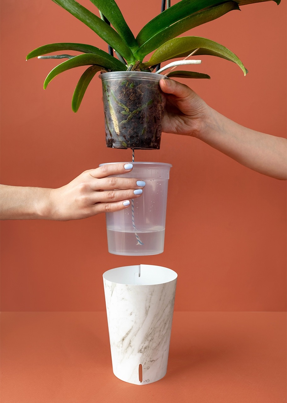 Imagen para Orquídea Blanca de Autorriego - 3