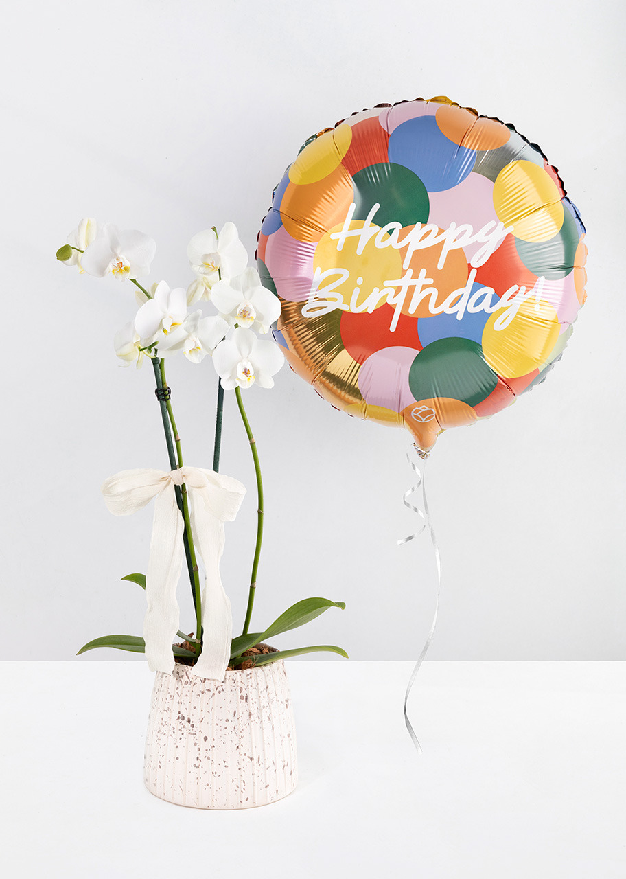 Imagen para Orquídea Blanca en Maceta de Cerámica y Globo "Happy Birthday - 1