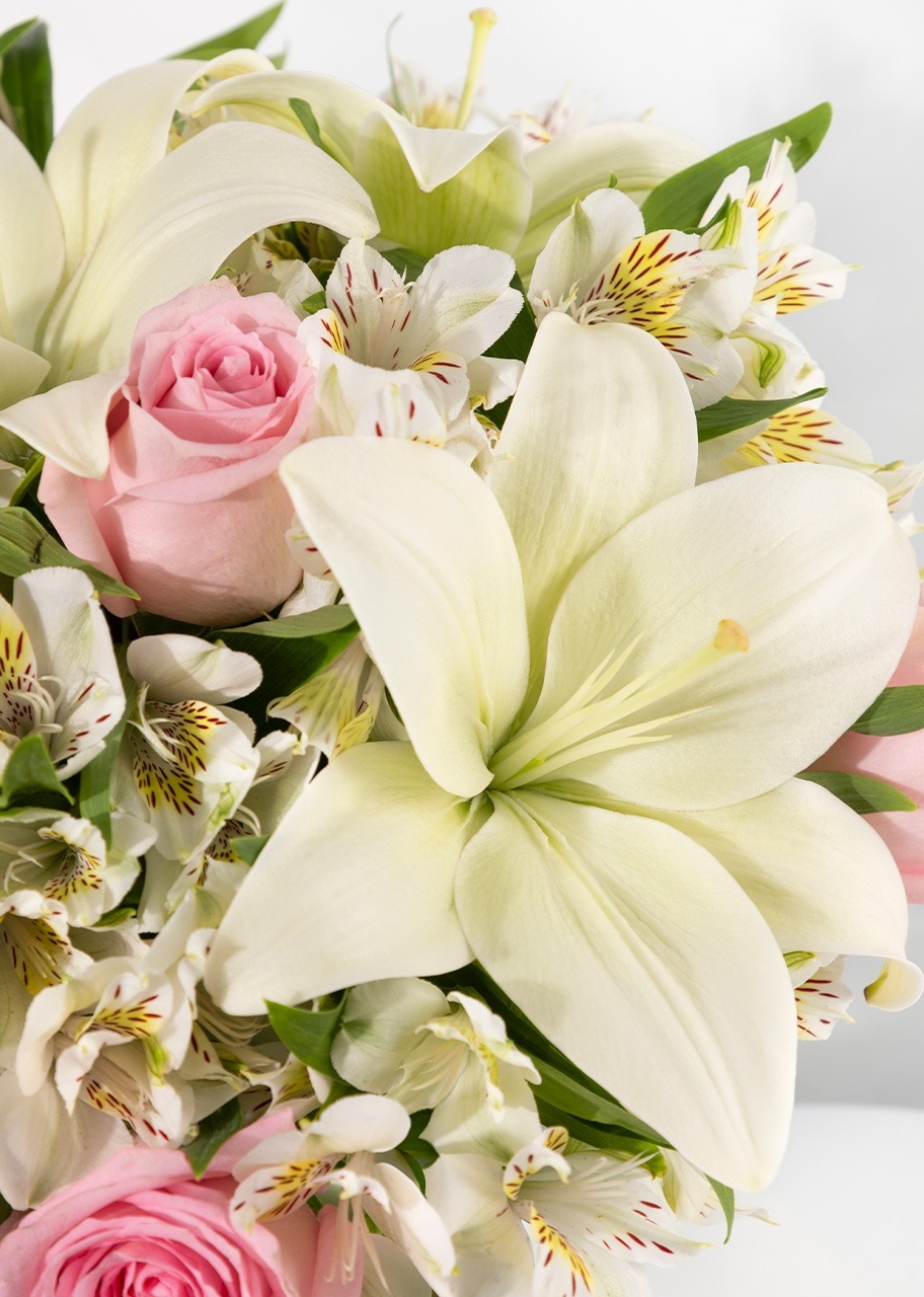 Imagen para Kit Cumpleañero - 2