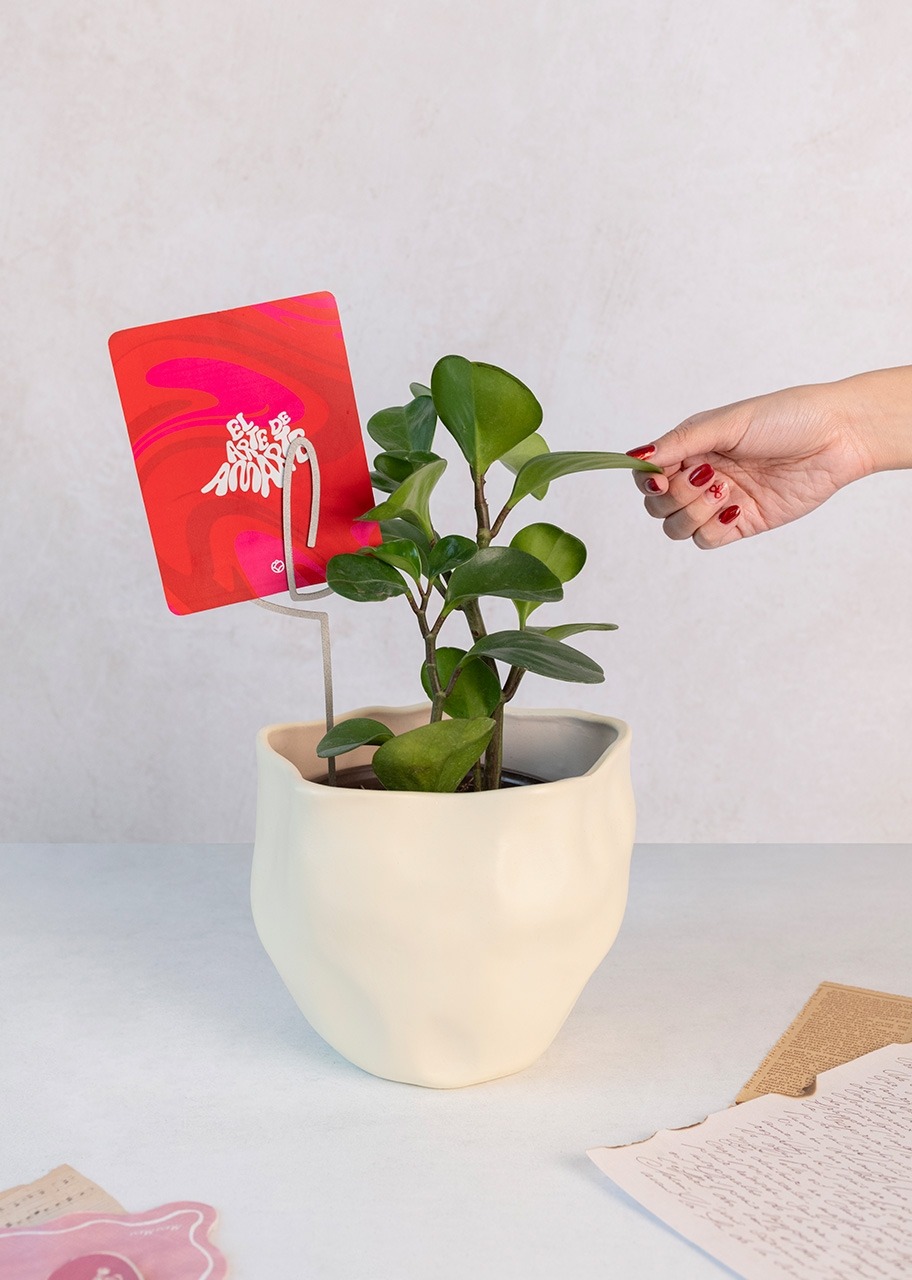 Imagen para Planta del Éxito con Distintivo 'El Arte de Amarte' - 2