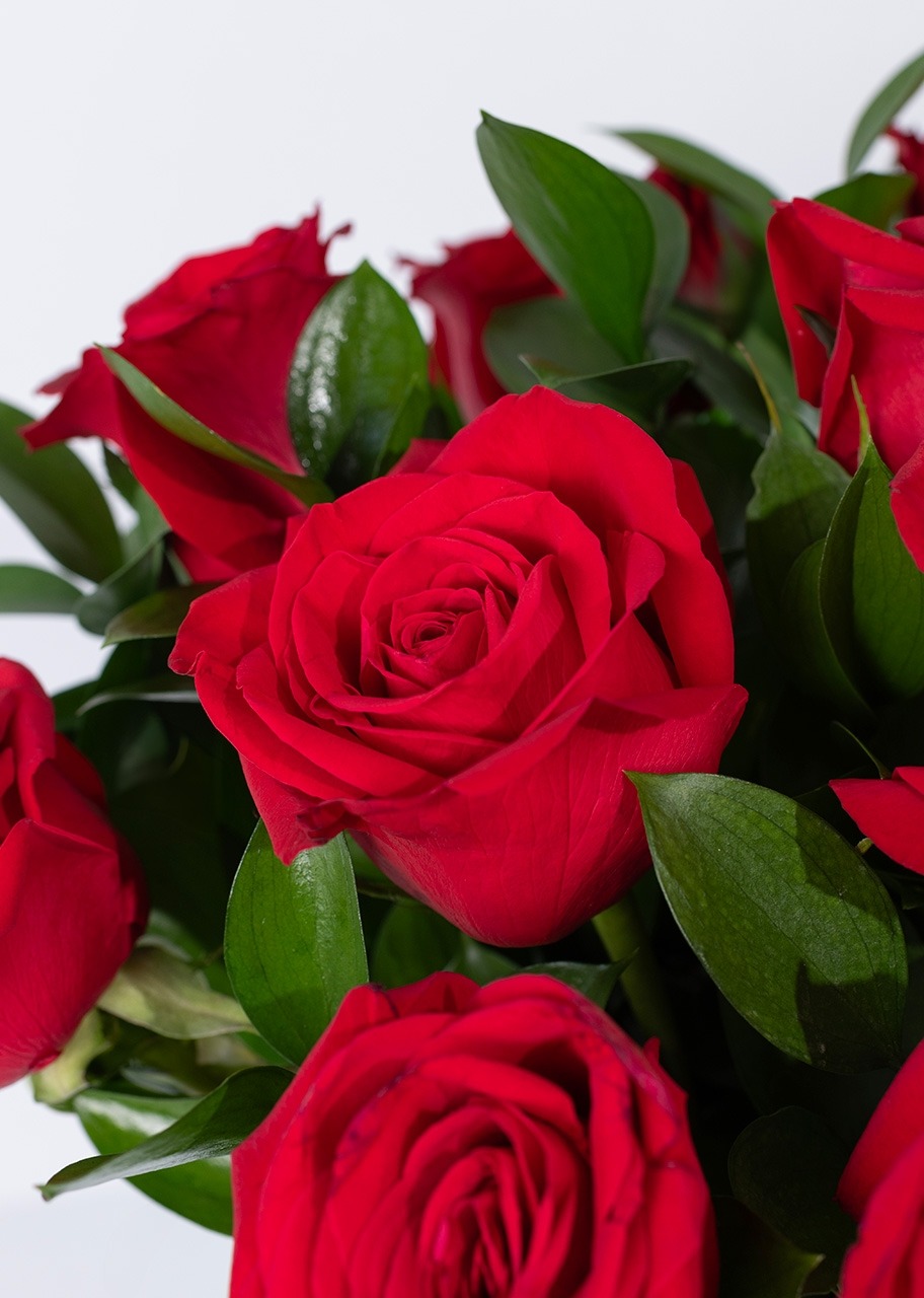 Imagen para Personaliza Marco Amor con 12 Rosas Rojas - 5