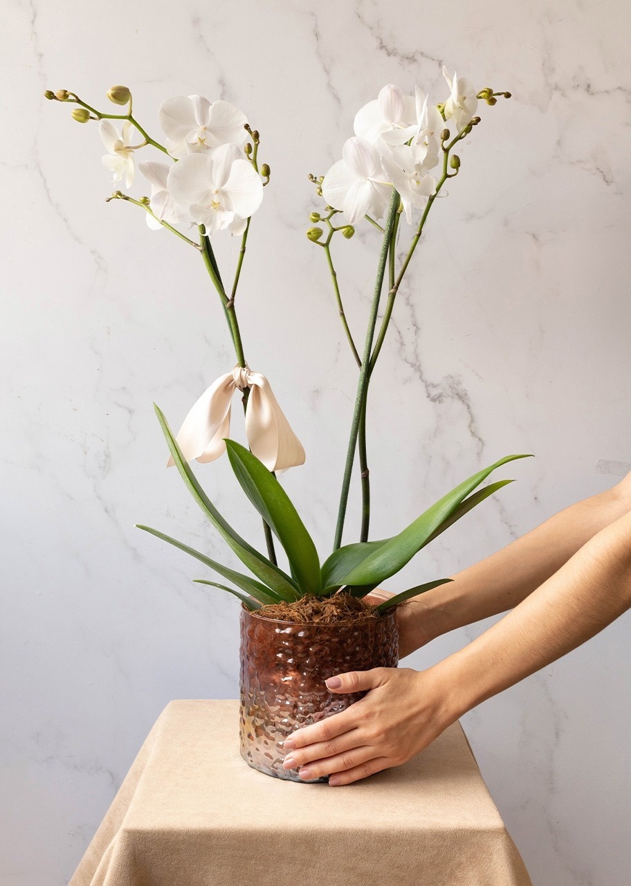 Imagen para Personaliza Marco Negro y Orquídea Blanca - 3