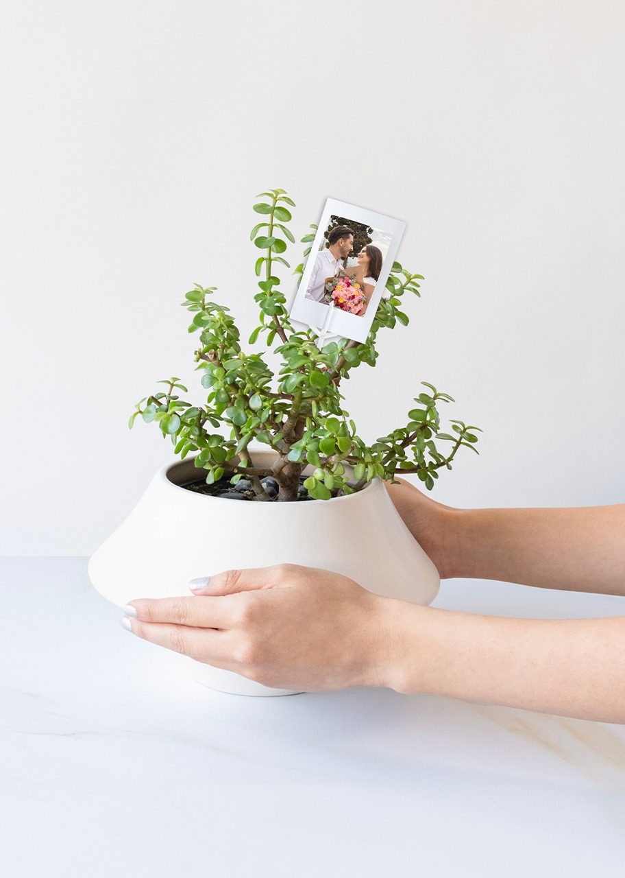 Imagen para Personaliza con Mini Foto con Árbol de la Abundancia - 2