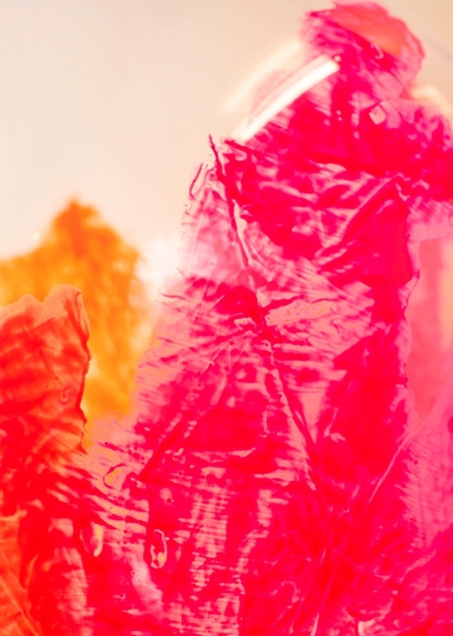 Imagen para Personaliza tu Burbuja Coral  - 4