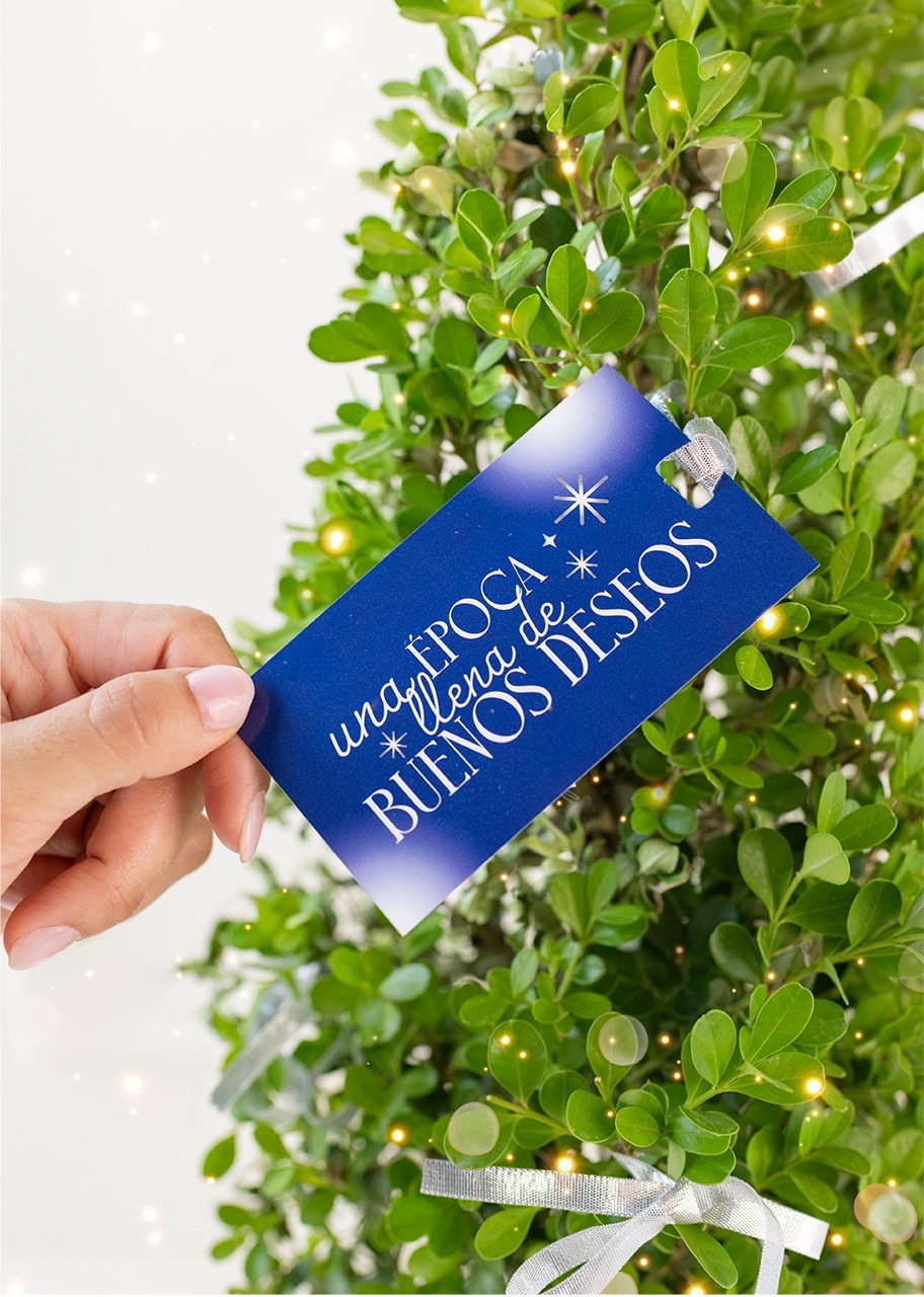 Imagen para Arbolito de los Buenos Deseos  - 2