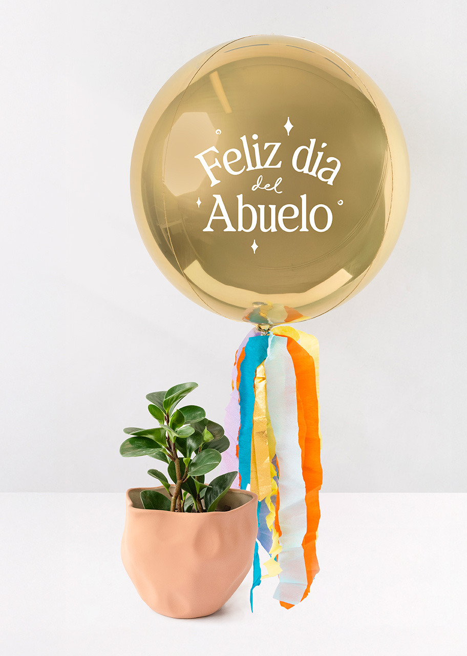 Imagen para Planta del Éxito en Maceta con Globo Esfera Abuelos  - 1