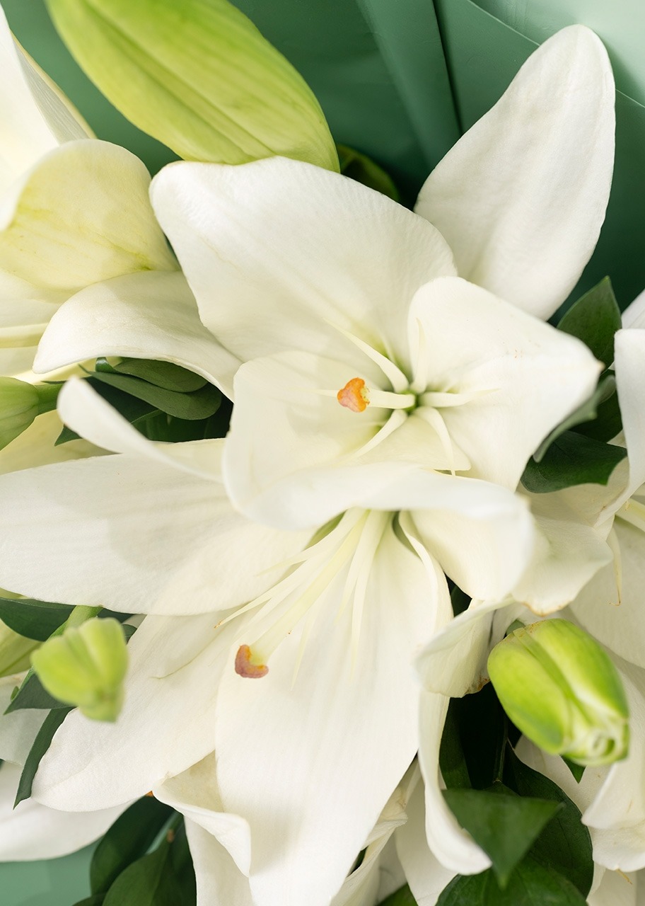 Ramo de Lilys Blancas