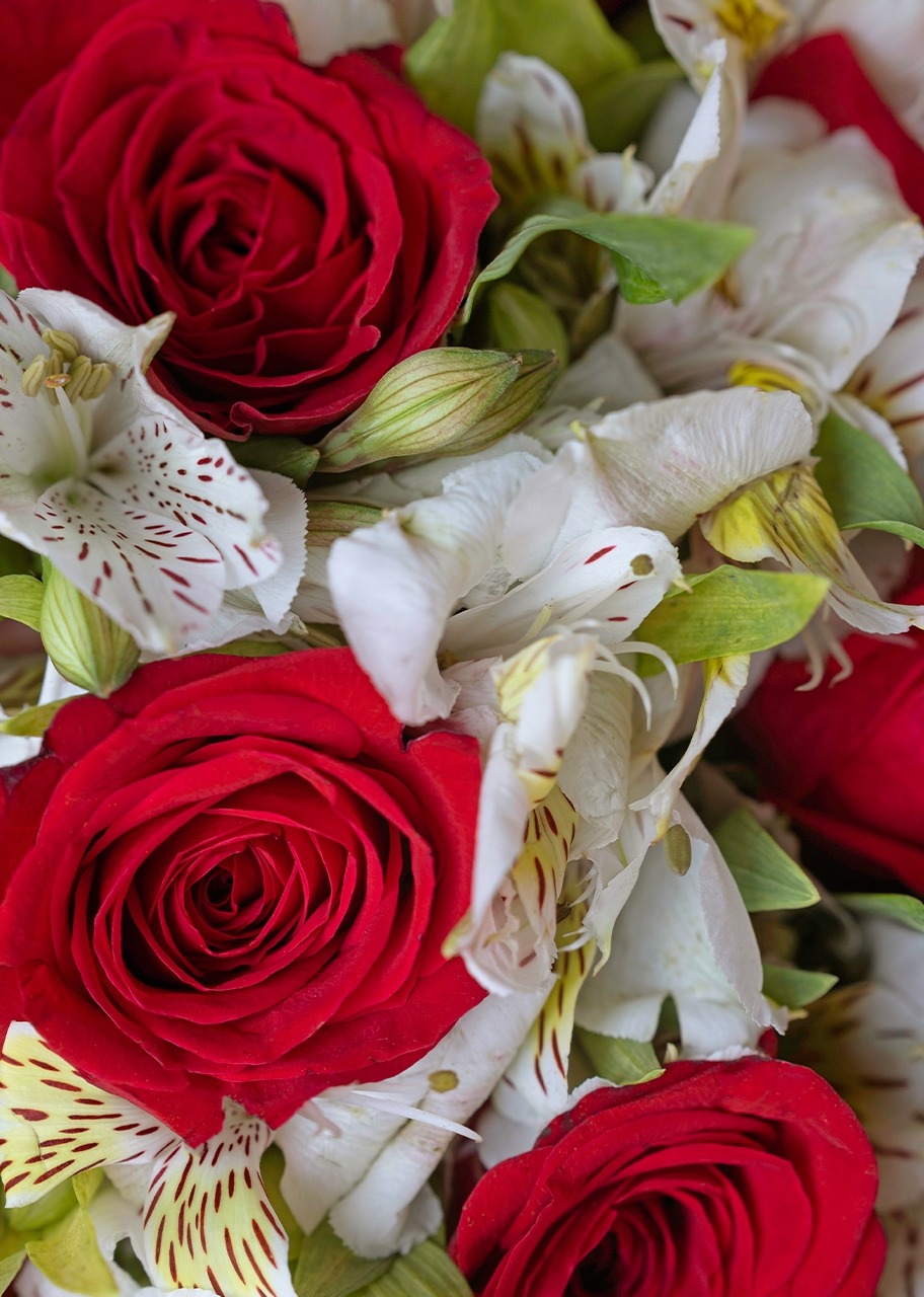 Imagen para Ramo con 8 Rosas rojas y Alstroemeria - 4