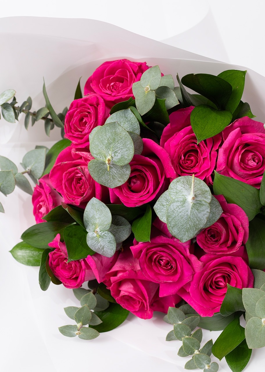 Imagen para Ramo de 12 Rosas Fucsia - 3