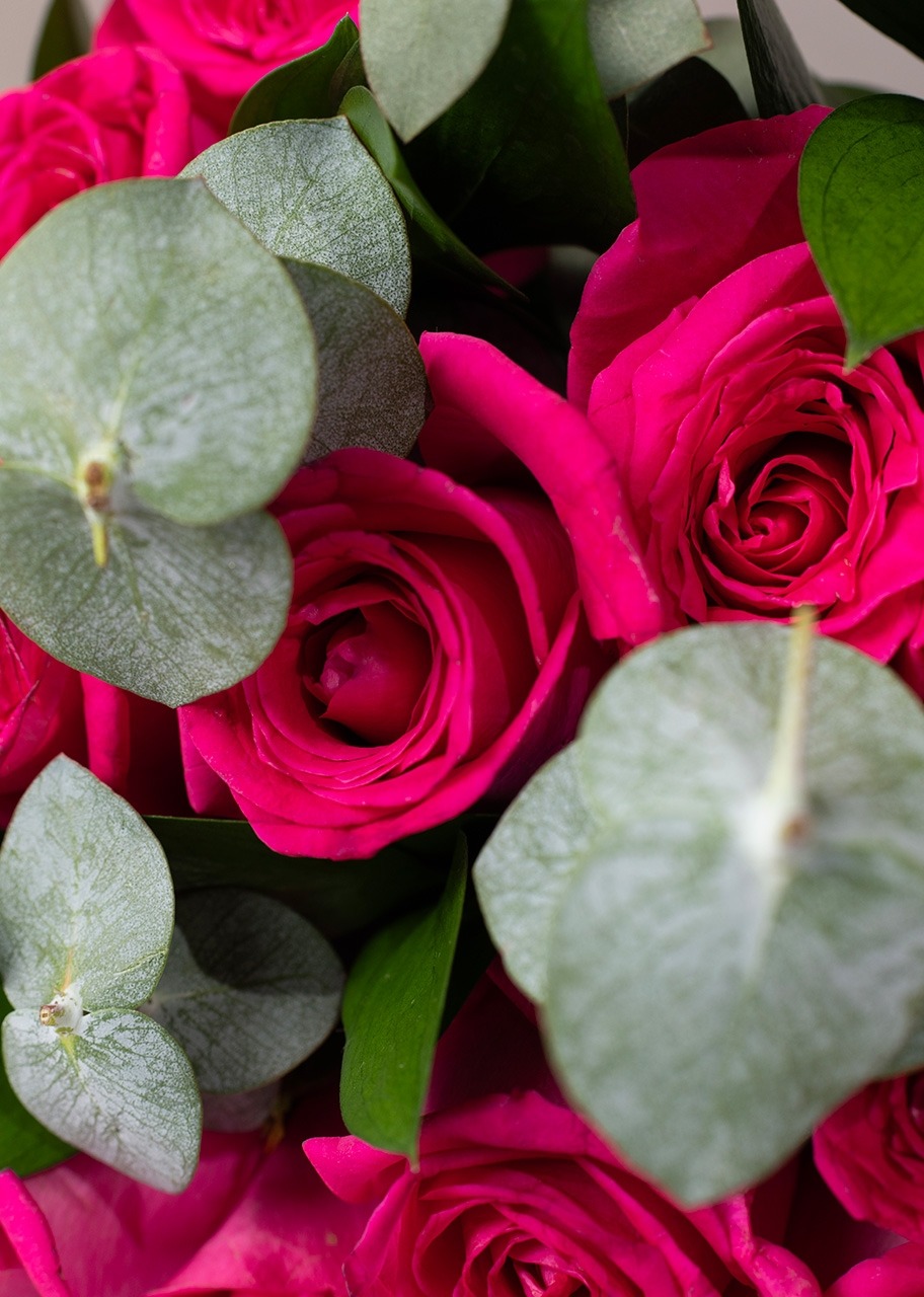 Imagen para Ramo de 12 Rosas Fucsia - 4
