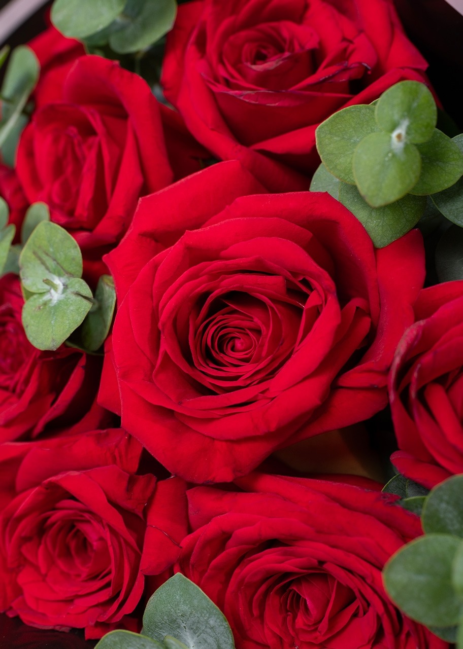 Imagen para Ramo de 12 Rosas Rojas - 4