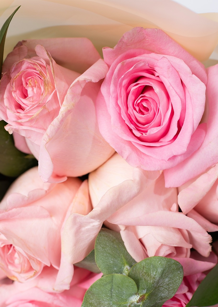 Imagen para Ramo de 12 Rosas Rosa Claro - 4
