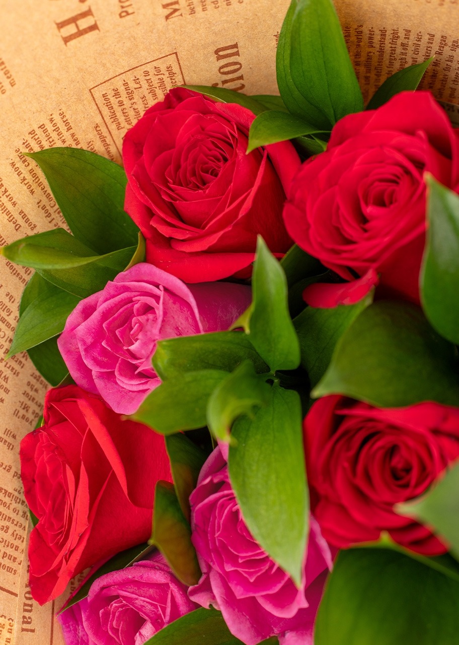 Imagen para Ramo de 24 Rosas Fuscia y Rojas con mini foto - 4