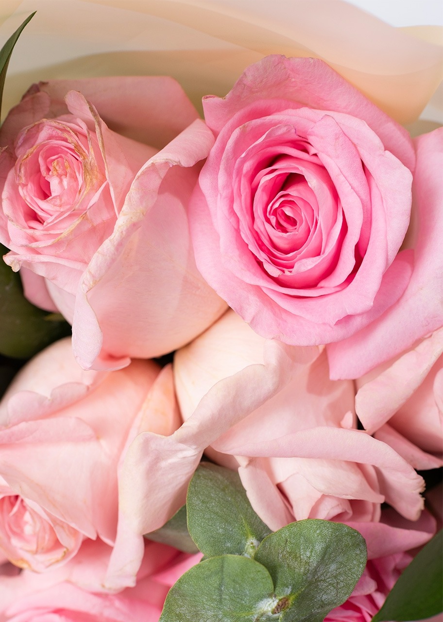 Imagen para Ramo de 24 Rosas Rosa Claro - 4