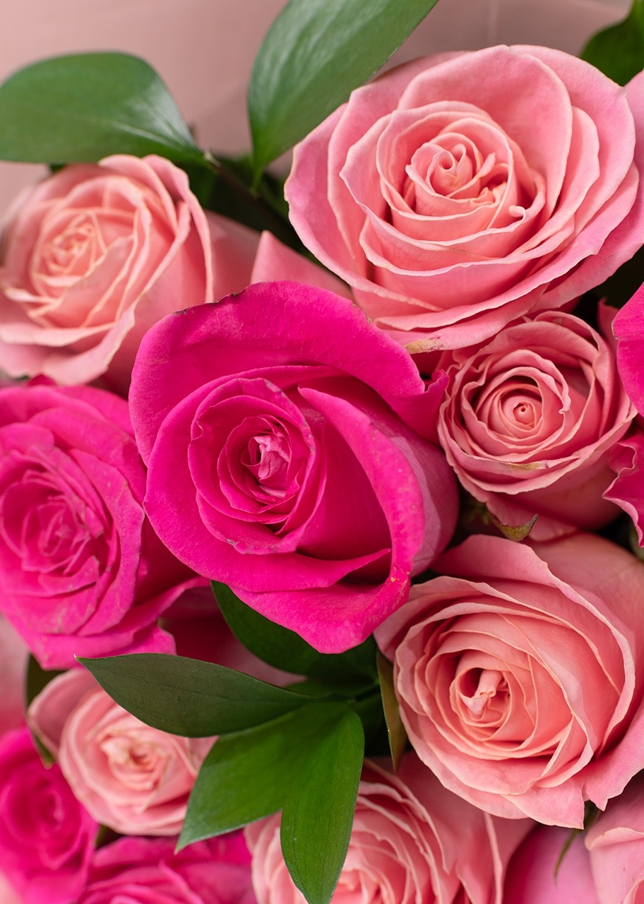 Imagen para Ramo de 24 Rosas Rosas - 4