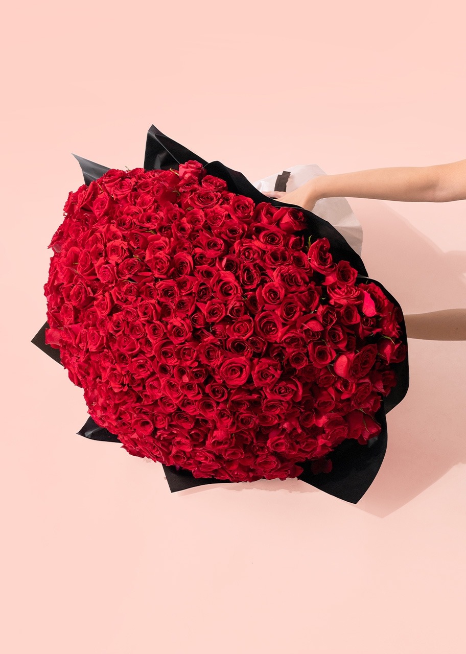 Imagen para Ramo de 500 Rosas Rojas - 2